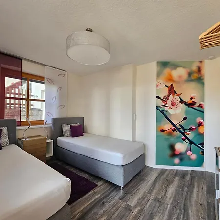 Im Naturpark Steinwald By Interhome Apartment *